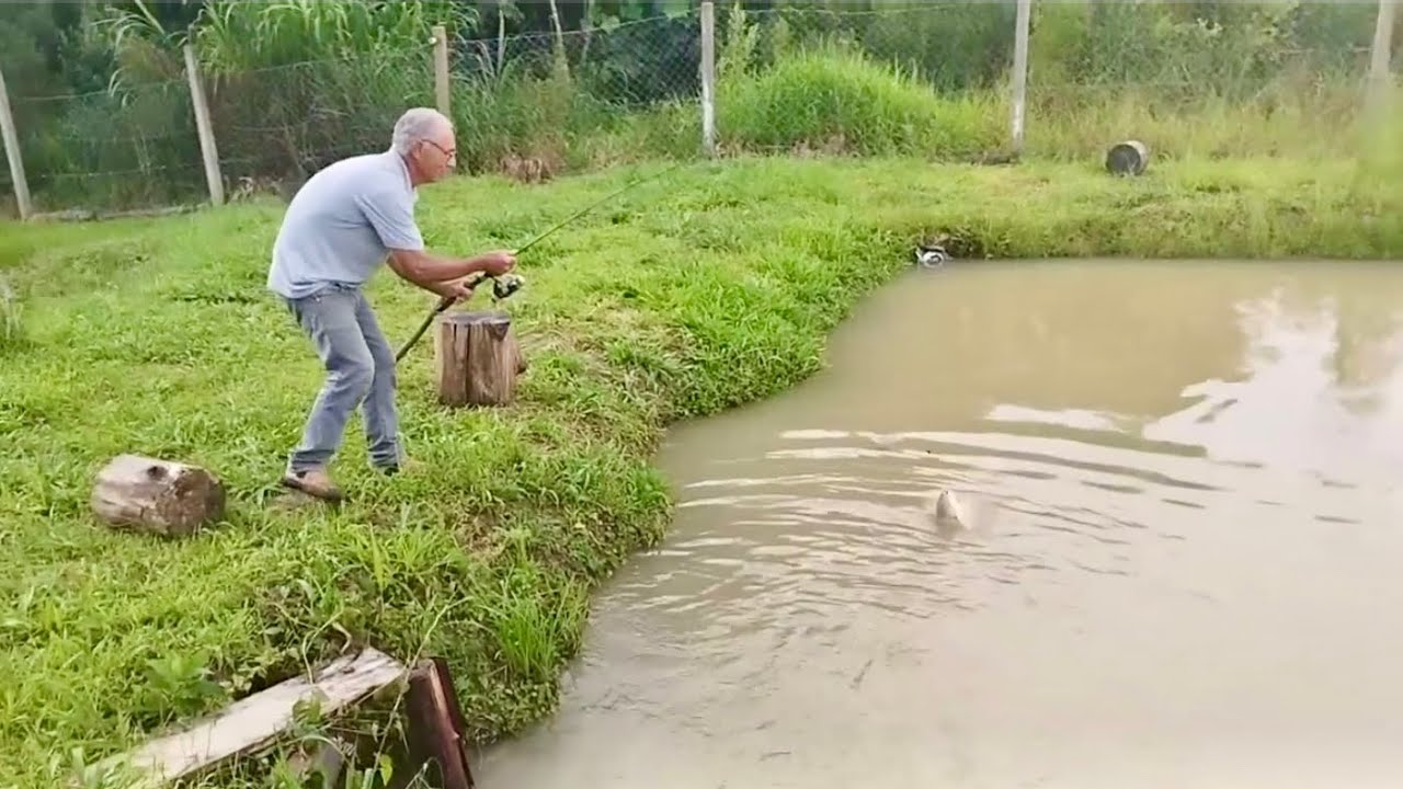 Dias maravilhosos  na chácara do meu tio Nôca em Mandirituba Curitiba Paraná