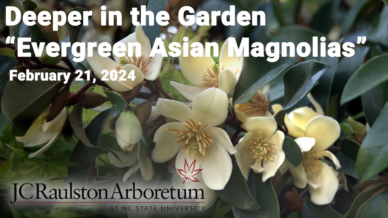 Deeper in the Garden - 