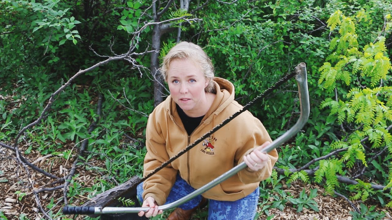 My Food Forest Feeds My Meat Animals