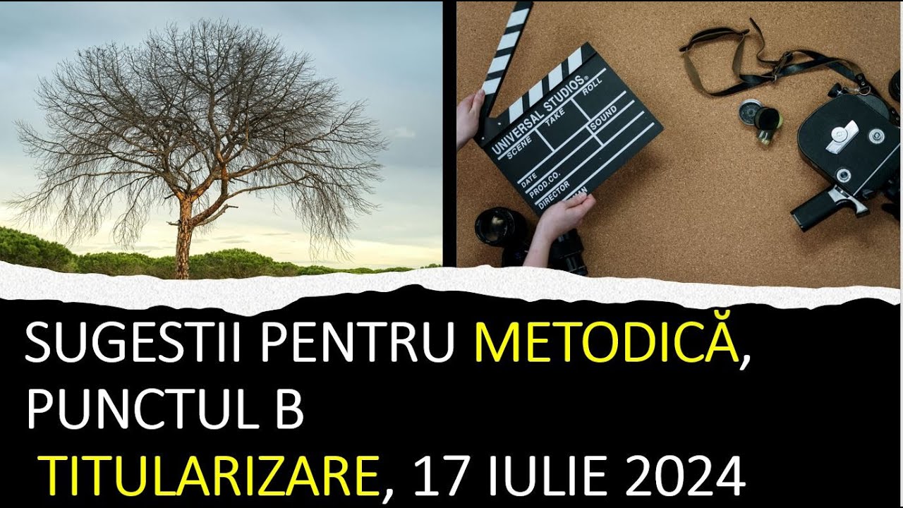 Metodică - SCURT,  titularizare, 17 iulie 2024, itemi