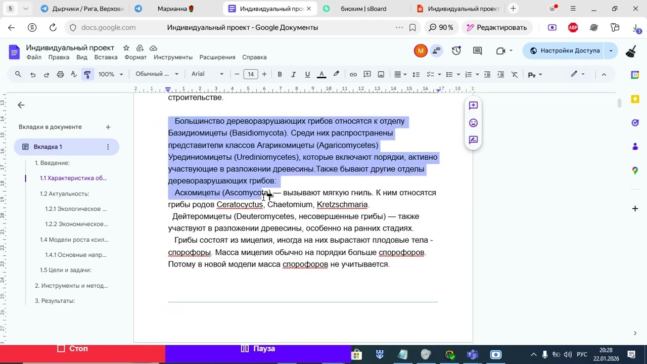 школьный проект мат модель грибов 29