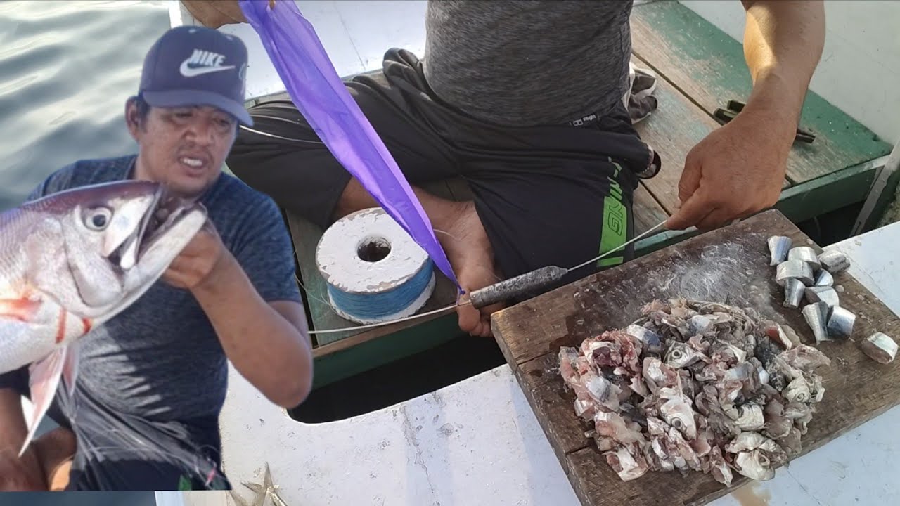 TEKNIK MANCING KURISI ,, menggunakan alat sederhana