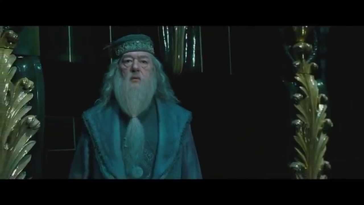 Dumbledore Tribute