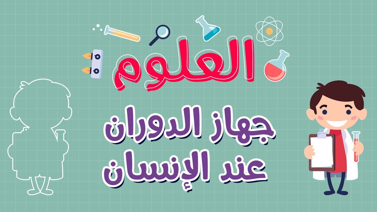 العلوم | جهاز الدوران عند الإنسان