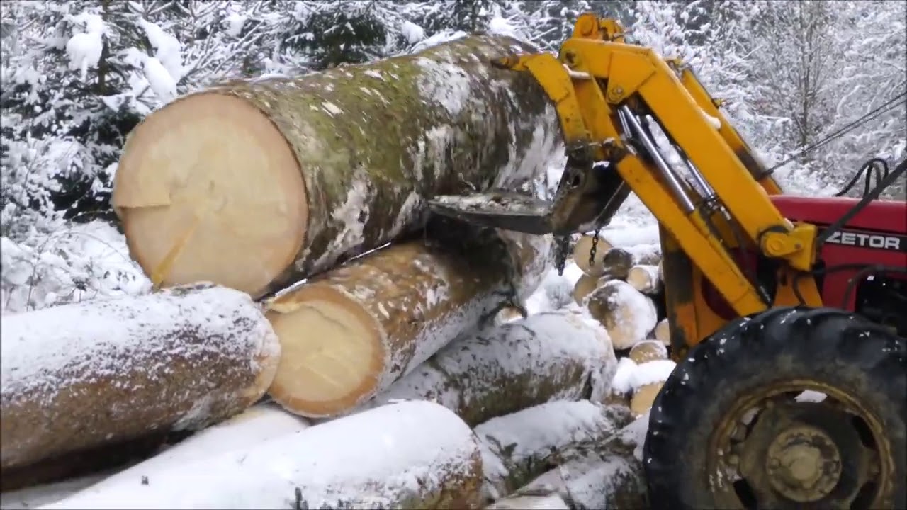 Forest job / Ukt Zetor 7745 v lese a na skládce #90