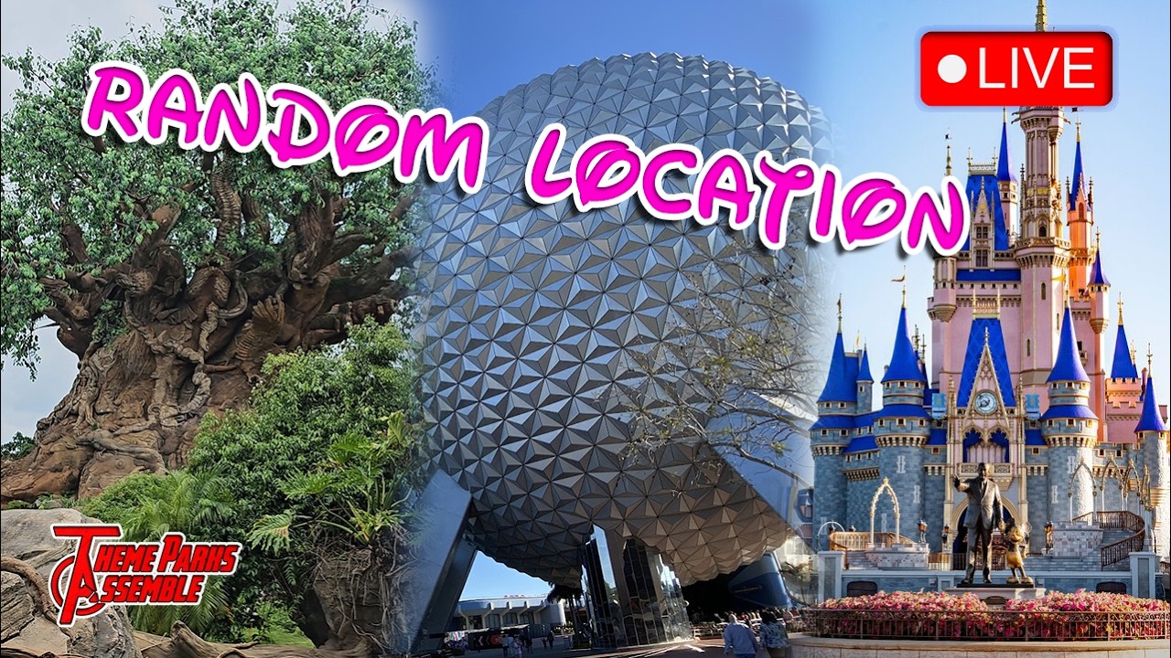 Lorcana Giveaway, Rides, Shows 2/21