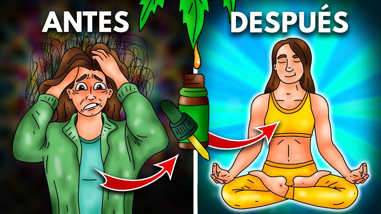 ⚡Descubre QUÉ ES el CBD, CÓMO ACTÚA y sus BENEFICIOS (Ansiedad, Estrés, Dolor).