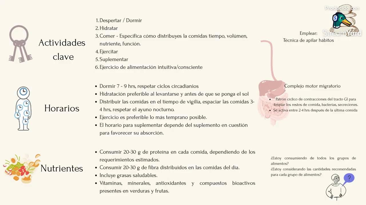 Alimentación basada en patrones