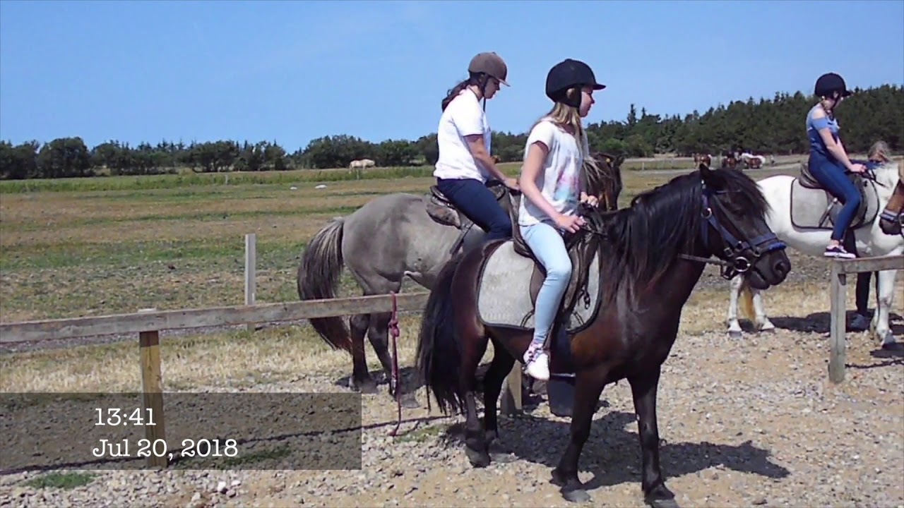 R&Oslash;M&Oslash; PONYFARM Das Gl&uuml;ck der Erde