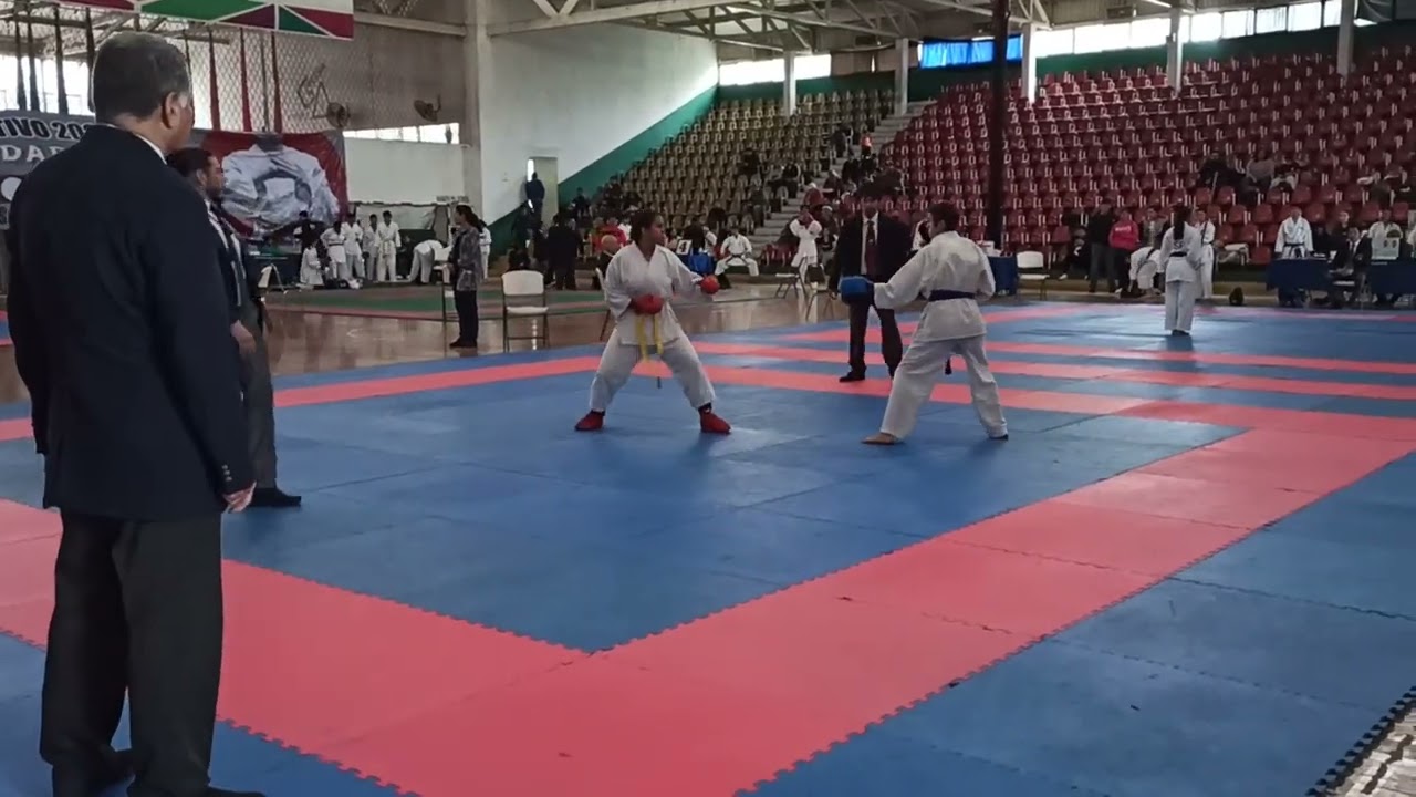 Combate Karate 🥋 cinta amarilla 💛