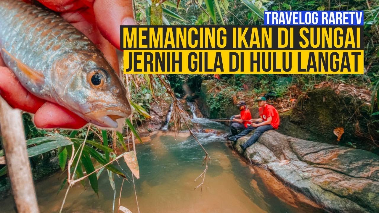 Memancing ikan di Sungai Jernih Hulu Langat lagi cantik dari BALI!