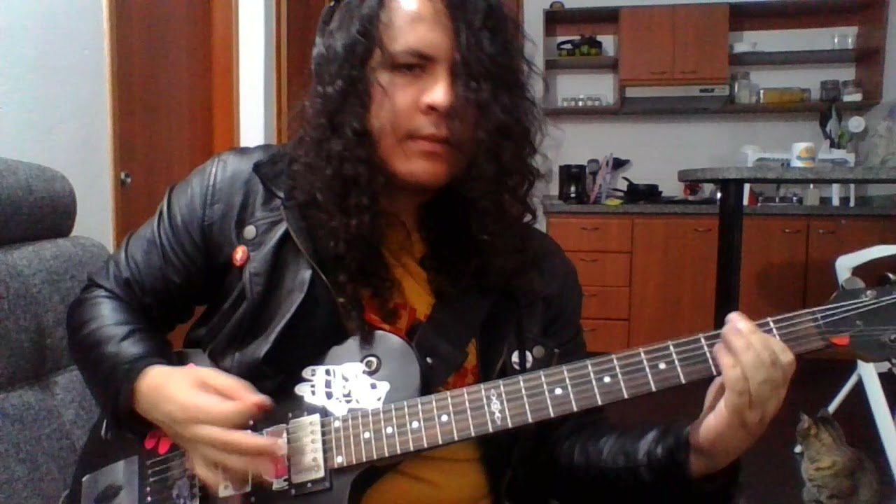 Wolfbrigade - Barren Dreams (Guitar Cover)