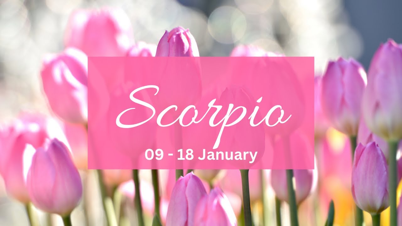 Scorpio❤️The one that broke ur trust feels unfinished business with u but this is why they r scared