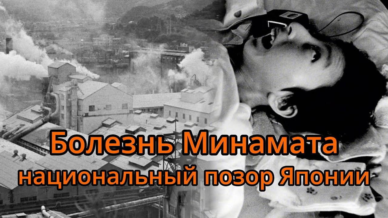 Новая болезнь Минамата. Загрязнение привело к национальной катастрофе Японии