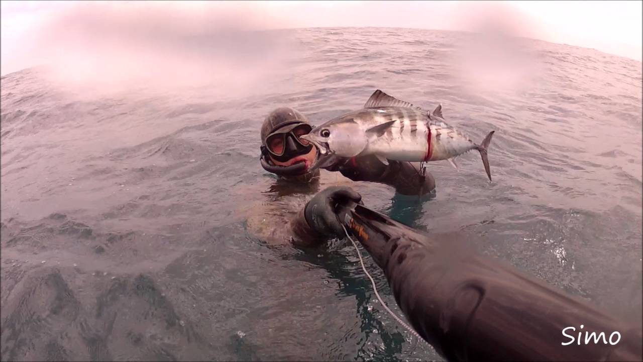Pesca sub : Catture estive con Mares Cyrano Evo hf 110  kit Stc