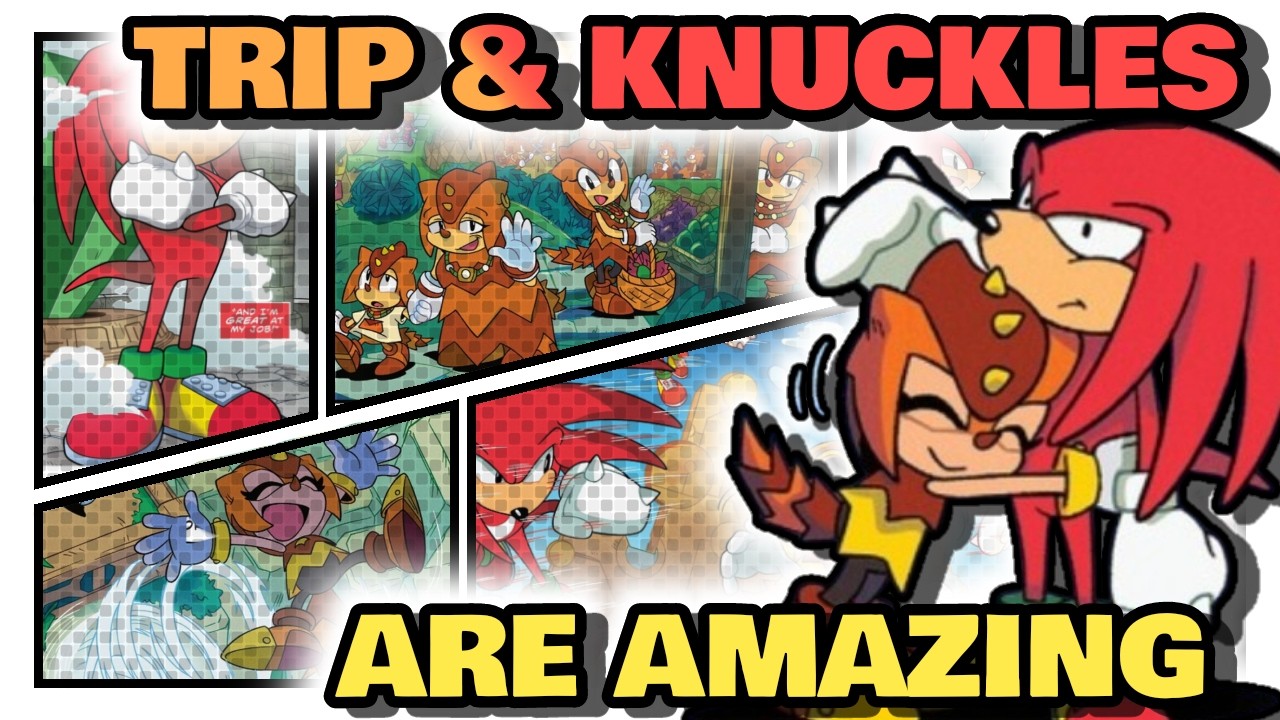 Knuckles and Trip Make The Best Duo Together | IDW Sonic History