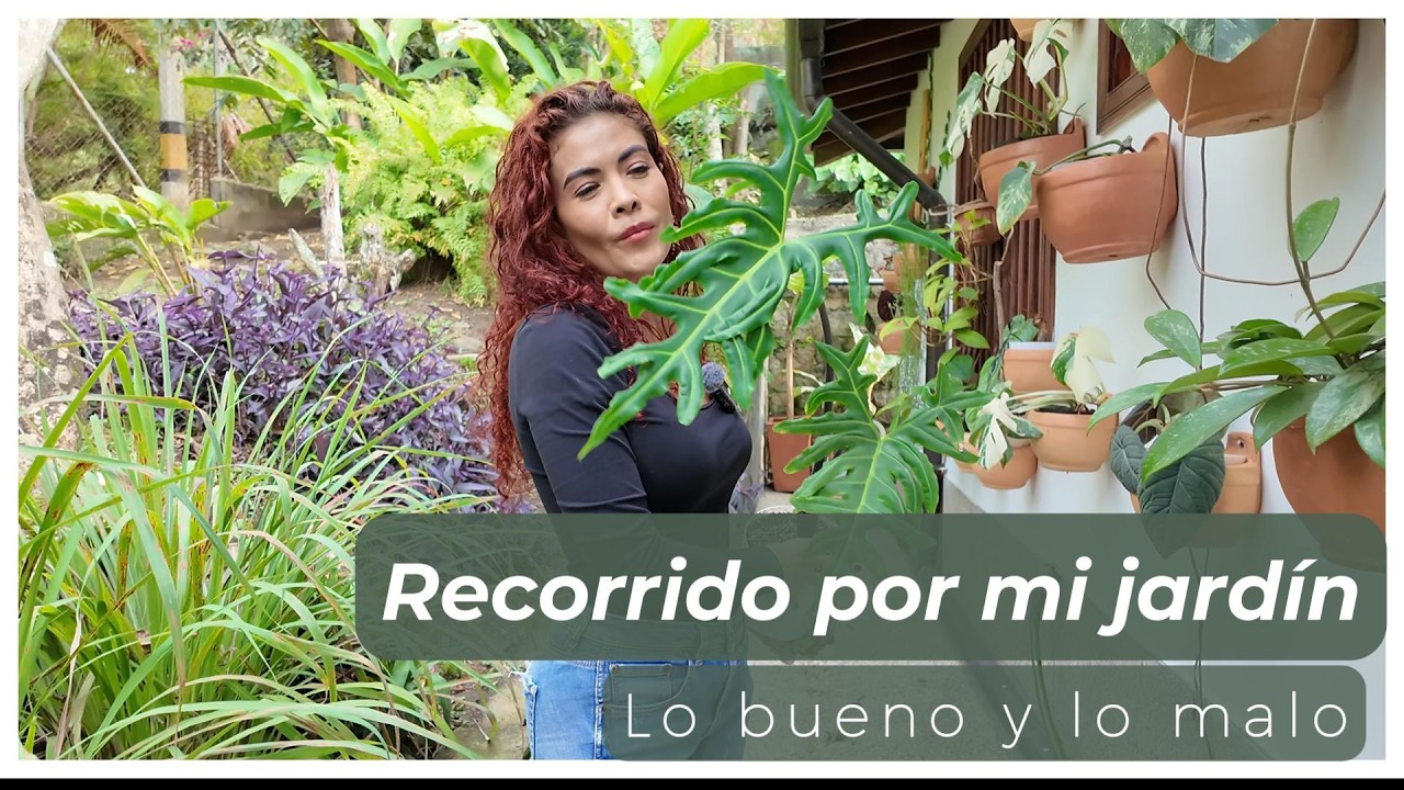 🍃🌿💚🌵CORTO RECORRIDO POR MI JARDIN DE FINAL DE AÑO 🌵💚🌿🍃