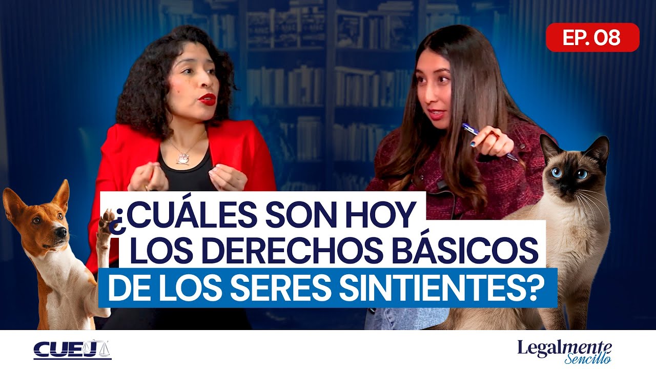 Derechos de los seres sintientes (mascotas) en México: lo que debes saber | Legalmente Sencillo EP 8