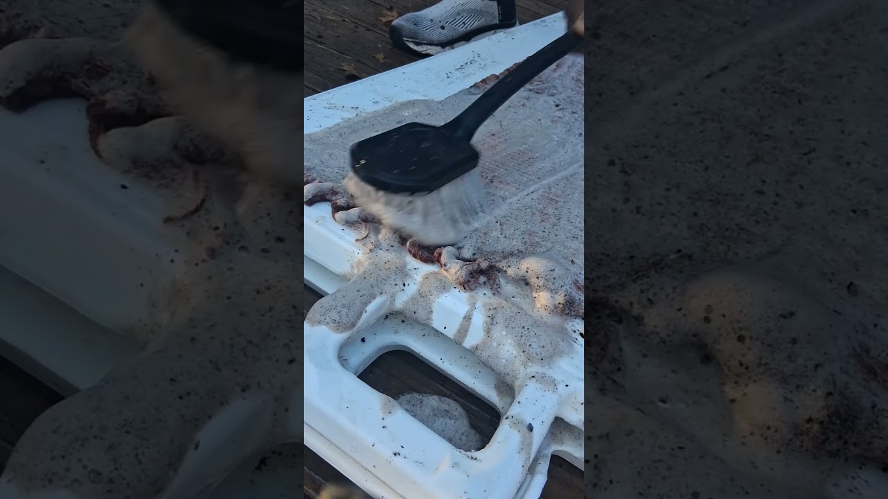 ​I Thought This Rug Was Ruined! (Muddy Rug Cleanup)