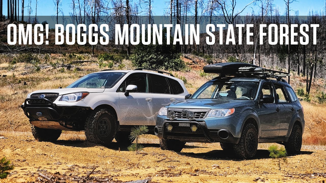 Two Subaru Foresters at Boggs Mountain