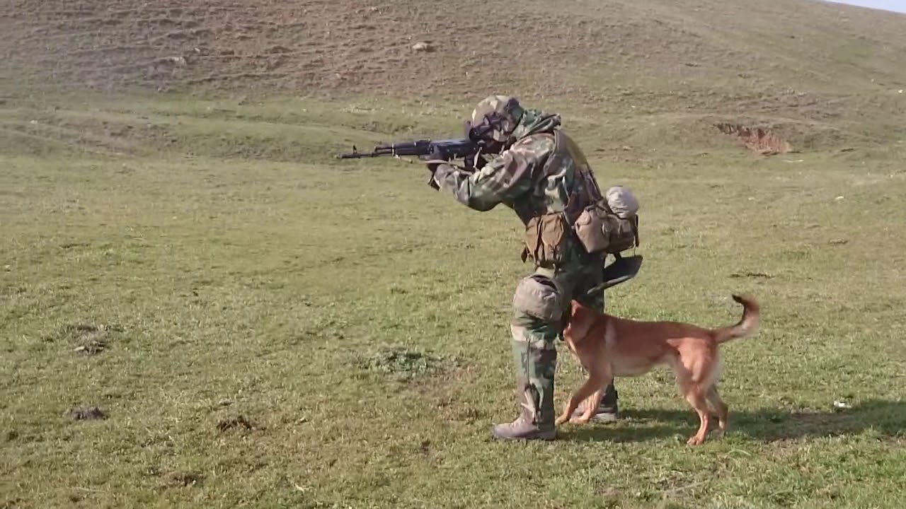 Дисциплина под стрессом. Discipline under stress. Shooting in motion with a dog