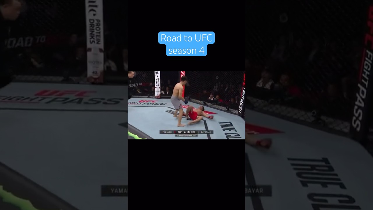 Massive right hand!!! Road to UFC season 4 knockout highlights 