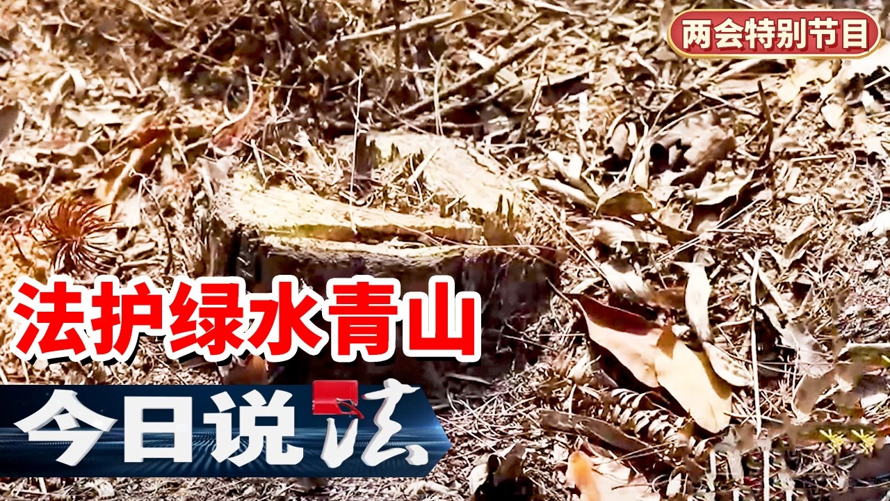 《今日说法》占便宜惹来牢狱之灾！以补代罚 一场“先予执行”的绿色救赎 20260306 | 今日法案