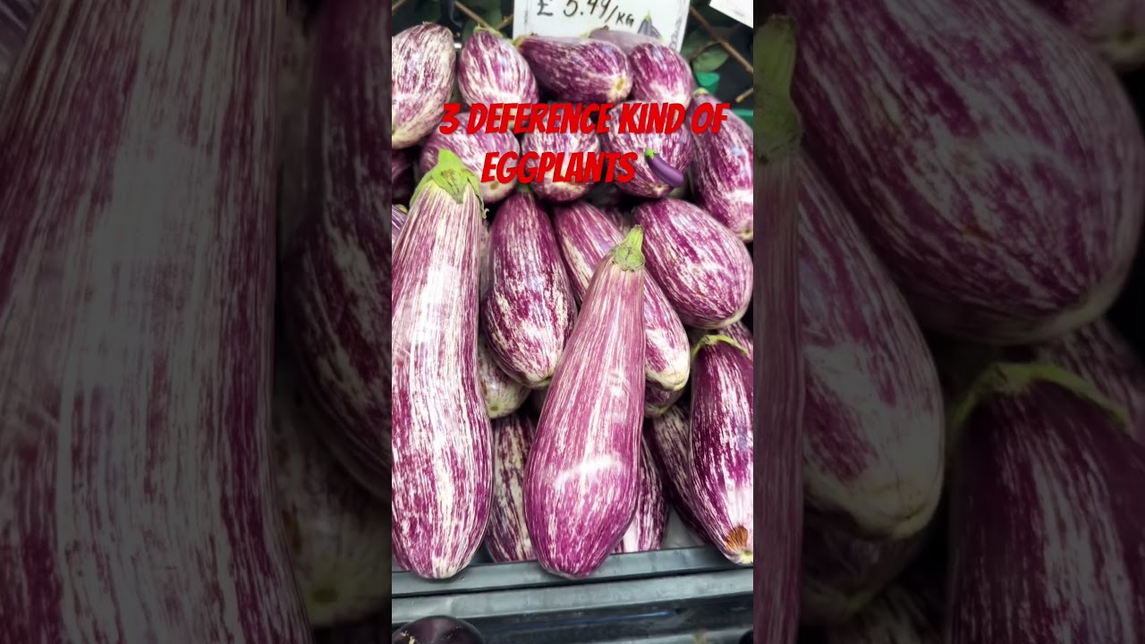 3 разных вида баклажанов 🍆 #вирусное #еда #баклажаны