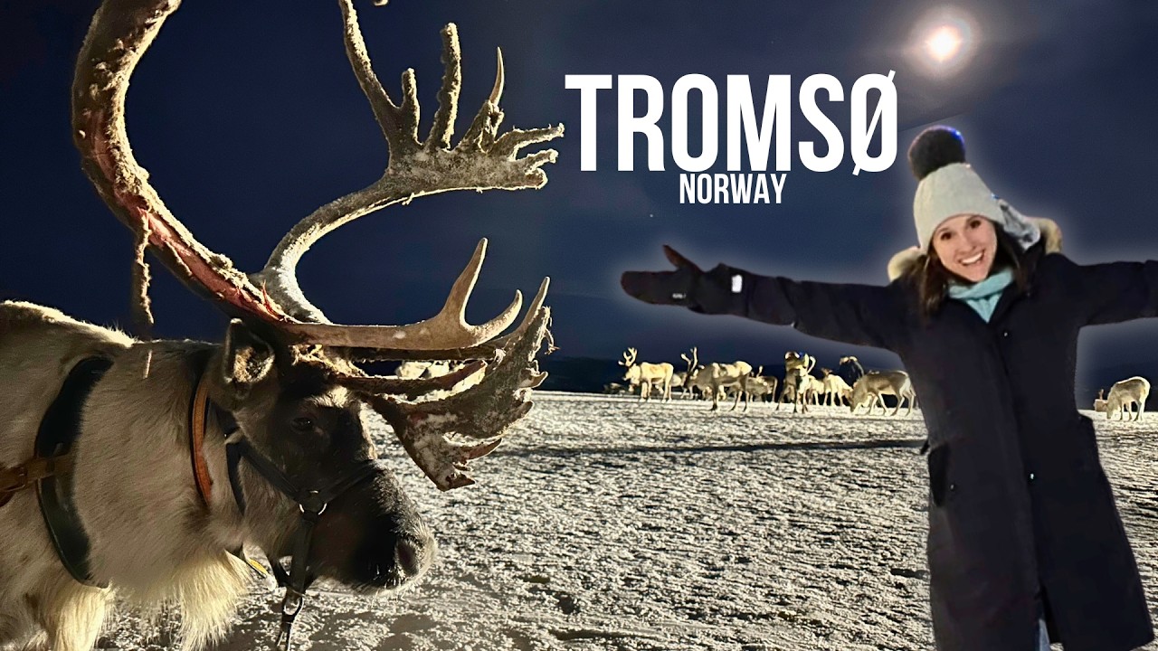 Christmas on Havila’s ship was like a movie! Tromsø & Honningsvåg ep3