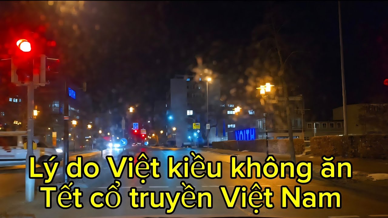 Những Lý do Việt Kiều Về Việt Nam Lại Trở lại Nước Sở tại Trước Tết Cổ Truyền 