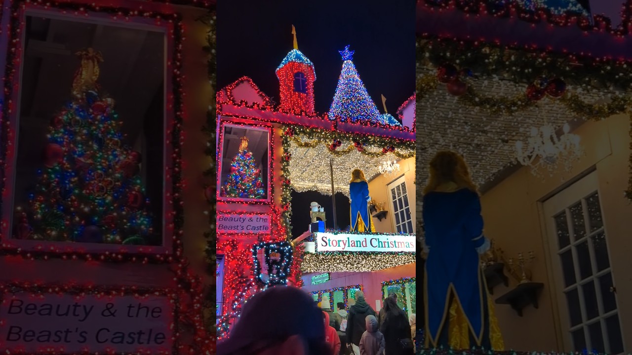 クリスマスお家デコレーション🇺🇸【国際結婚・海外生活Vlog】#shorts #ショート