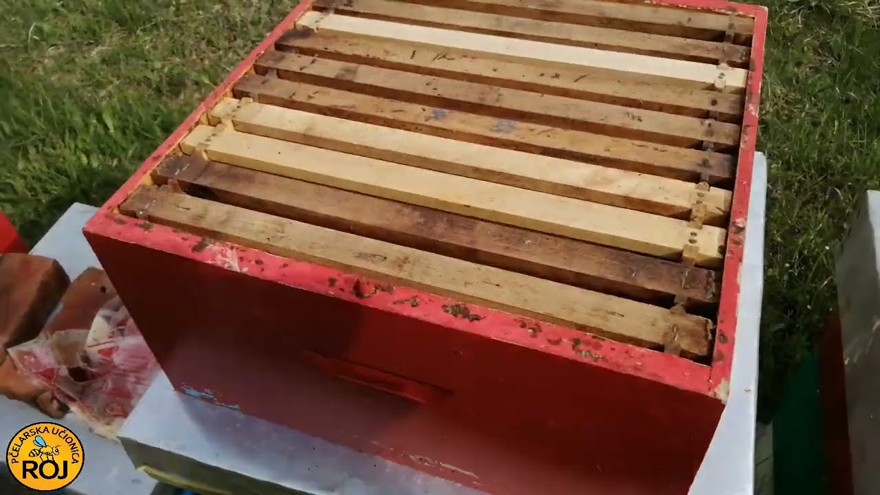 Stvaranje viška pčela u pripremi za bagremovu pašu u RV košnicama