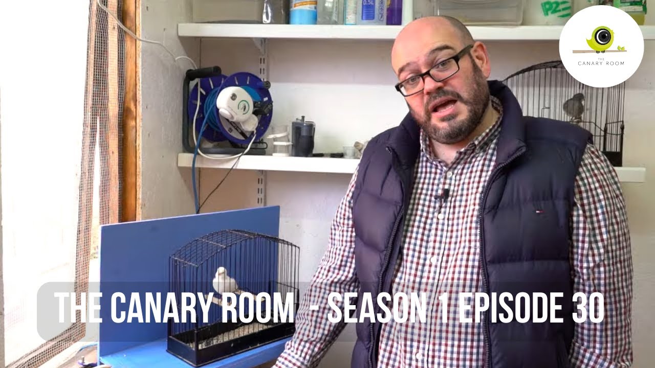 The Canary Room - Season 1 EPISODE 30