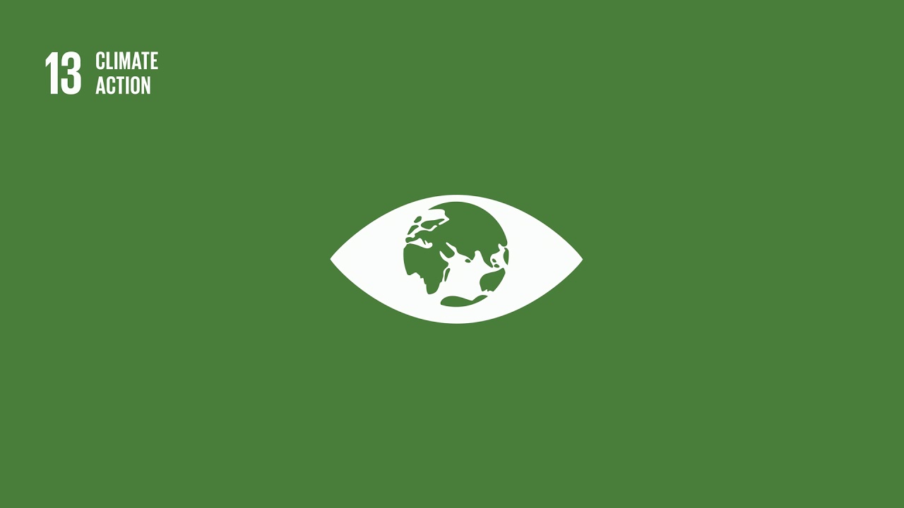 Do you know all 17 SDGs?