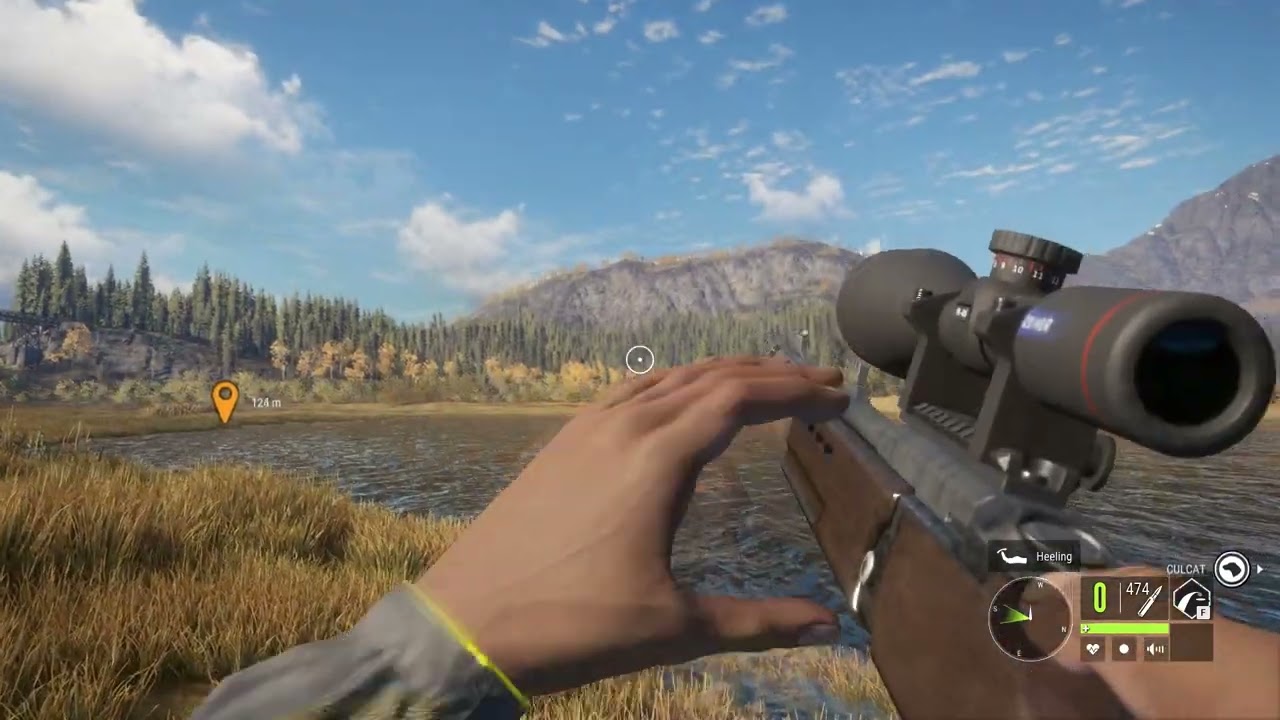 theHunter Call of the Wild - Gameplay 293
