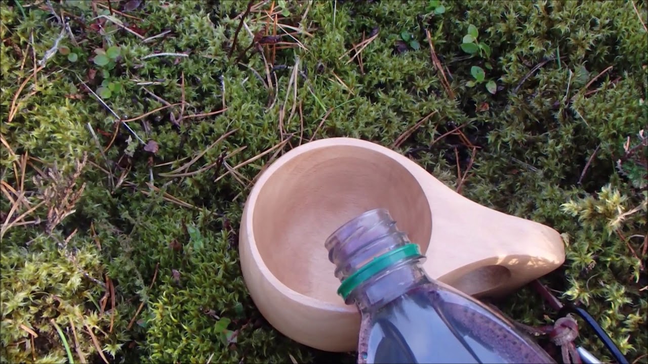 Forest Camp 17th. October 2018( or Camping in a Rut)