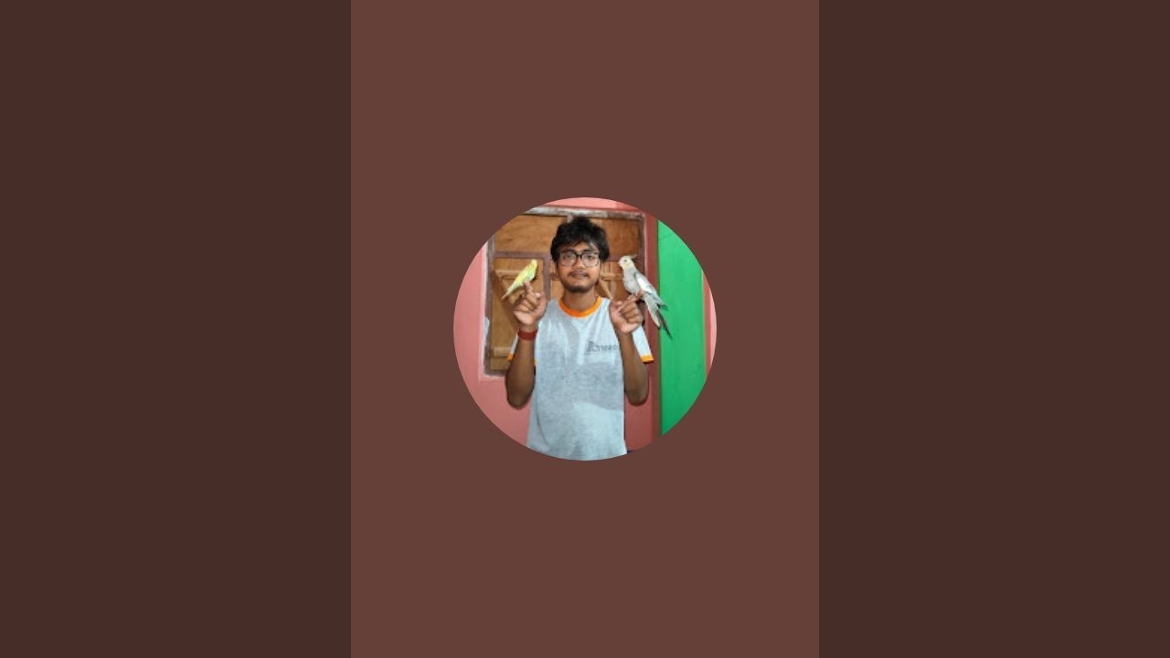 প্রথম লাইভে এসে টুসু দার দোকানের পাখি মাছ অরো অনেক জিনিস দেখালাম#live #youtube live #birds 