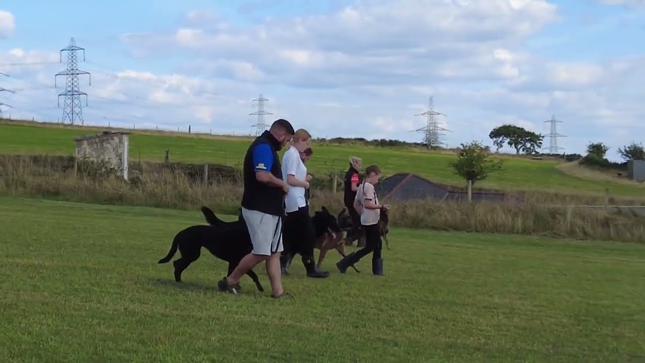 A few days filming in and around A1K9 The Professional Dog Trainers. Part 1 Obedience and Control