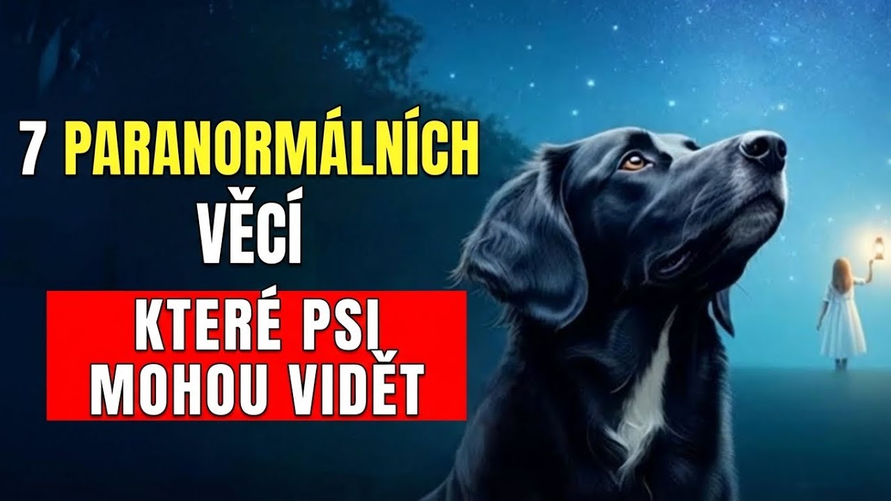7 paranormálních věcí, které psi mohou vidět (A Ty Ne)