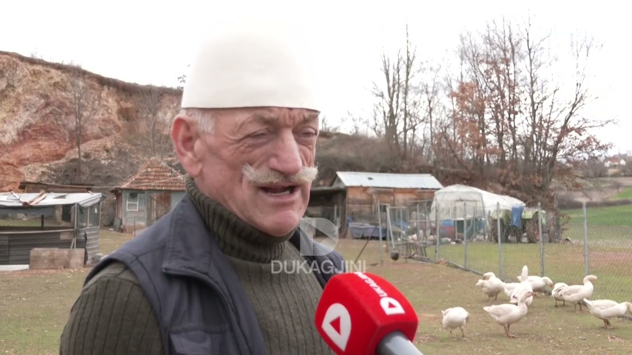 “ I kom diku 200 zogj, i kom të sistemun në fermë, i ushqej e i rri gati”