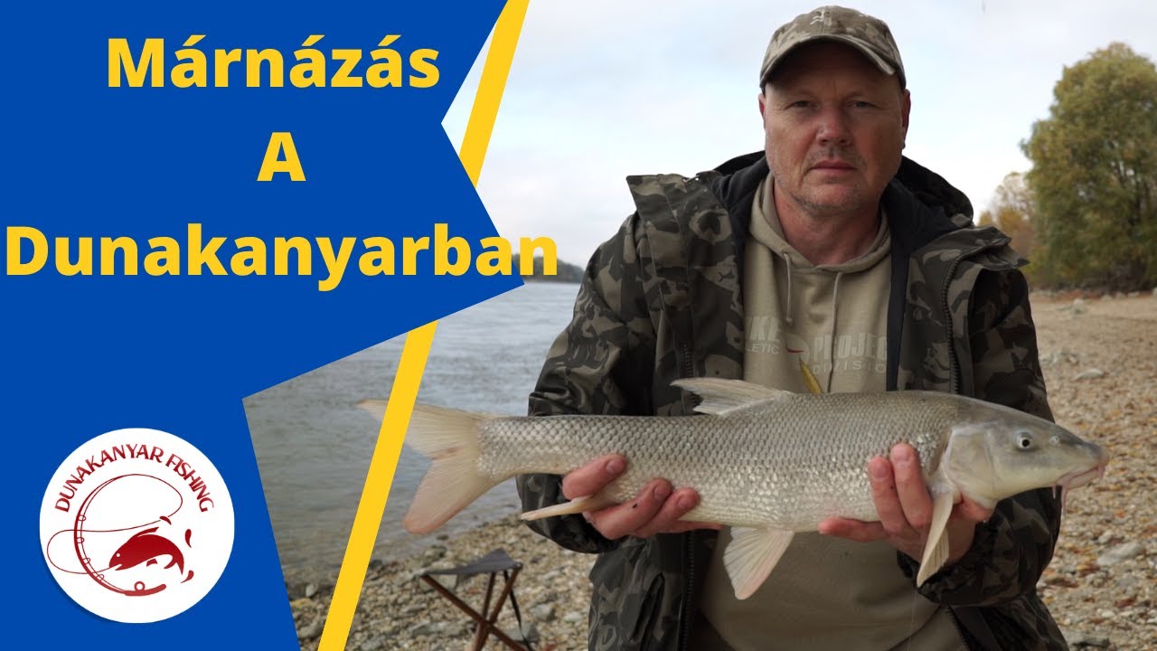 Őszi Márnázás a Dunanakanyarban , folyó vízi horgászat olcsó bottal