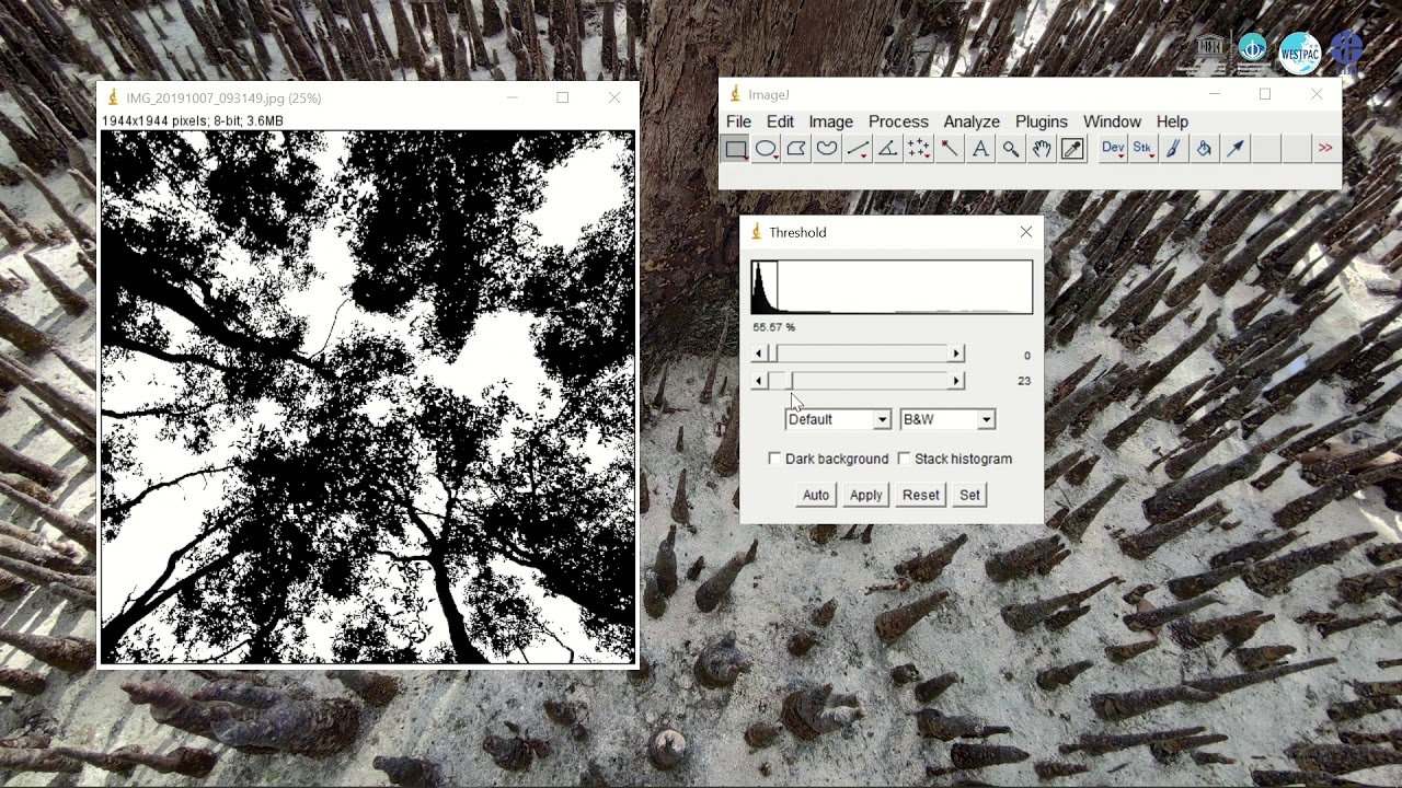 Day 05 | MHI Training | FIRST | Hemispherical Photograph Analysis using ImageJ
