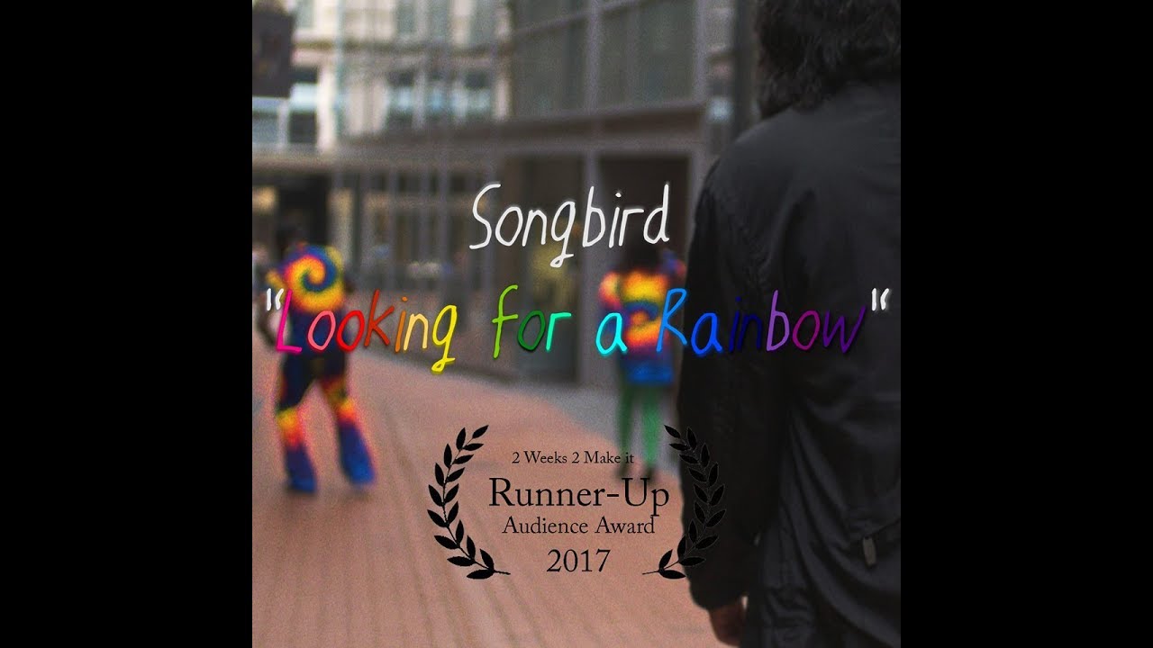 Songbird Looking for a Rainbow