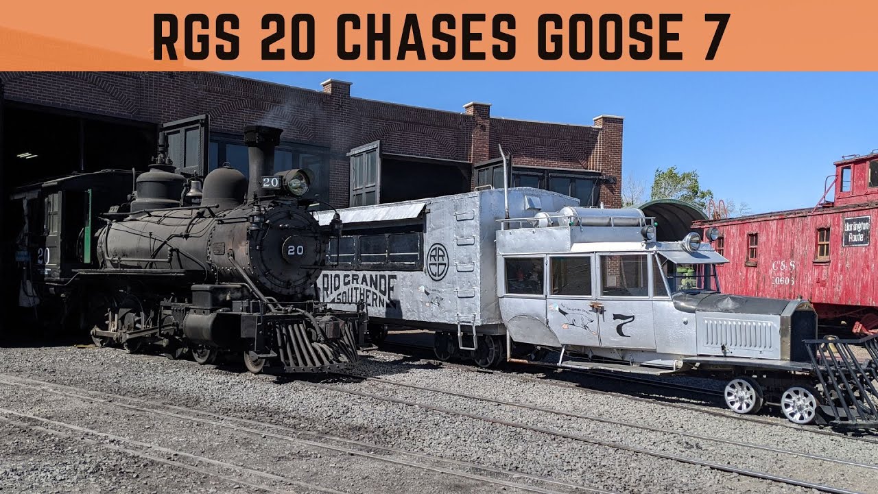 RGS 20 Chases a Goose!