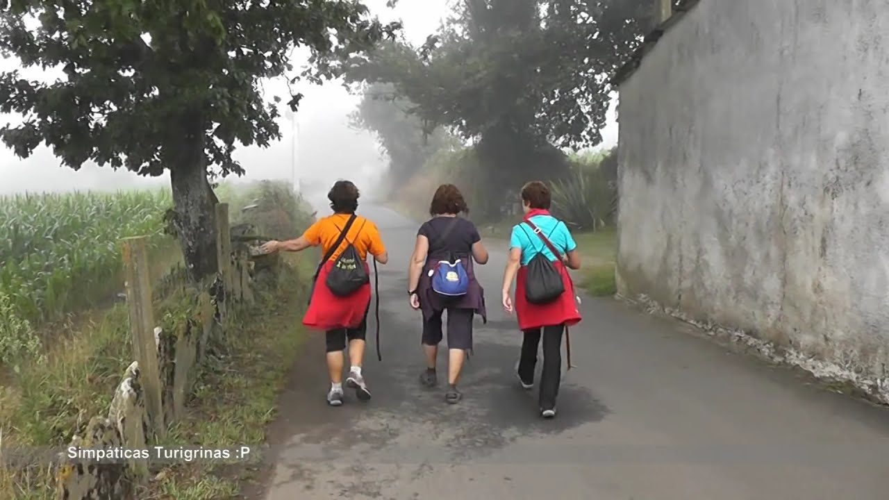 CAMINO FRANCES. ETAPA 29. PORTOMARIN - PALAS DE REI