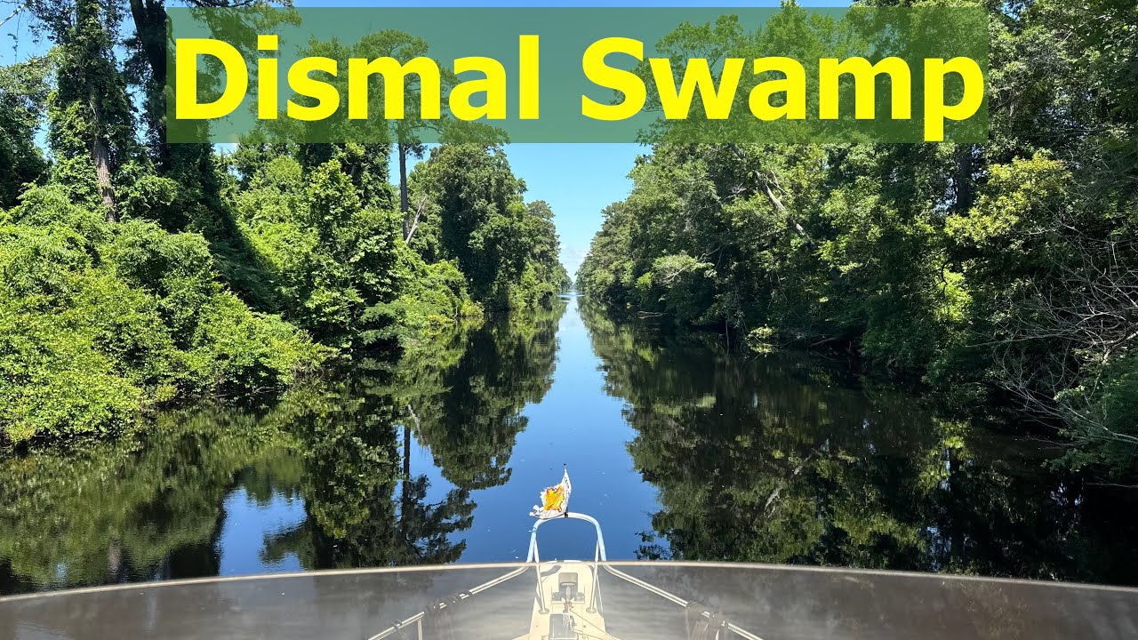 #065 - Dismal Swamp 6/15/2024