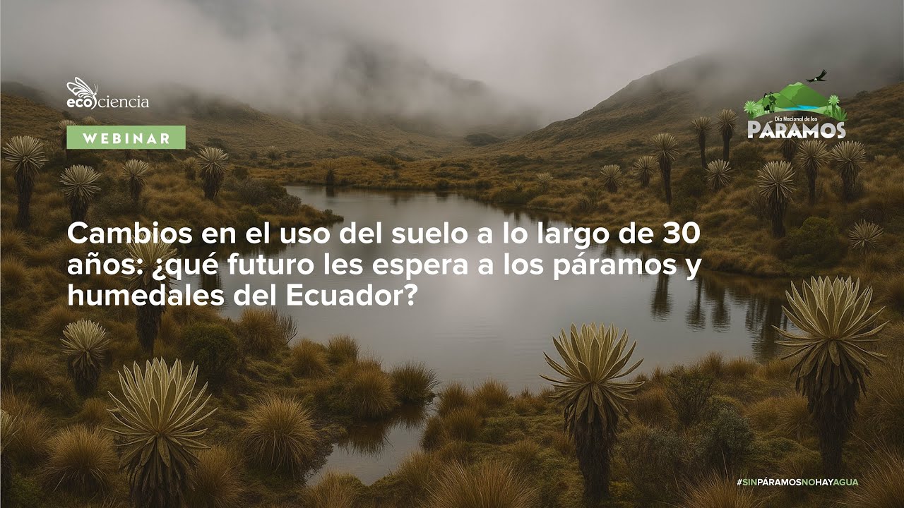 ¿Qué futuro les espera a los páramos y humedales del Ecuador?