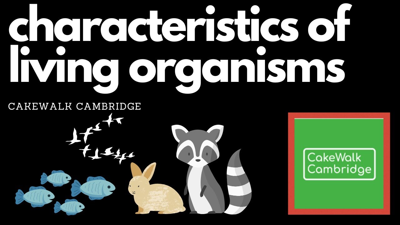 IGCSE Biology 1 - Characters and Classification of Living Organisms | CakeWalk Cambridge