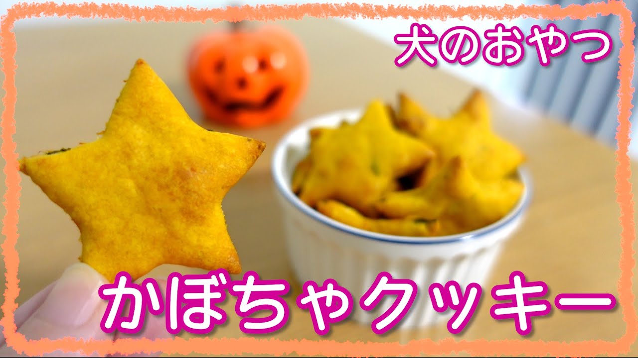【簡単】材料3つでできる犬の手作りおやつレシピ！かぼちゃクッキー🎃