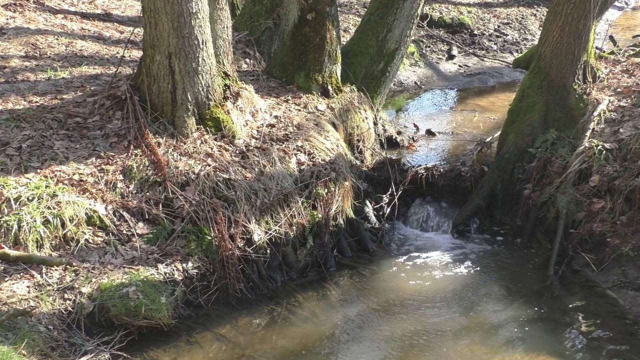 PARK   Repty Śląskie  Marzec 2021